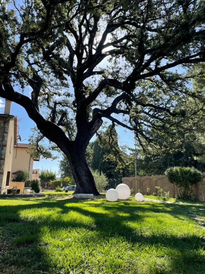 Il Leccione Apartment Bagni San Filippo Bagian luar foto