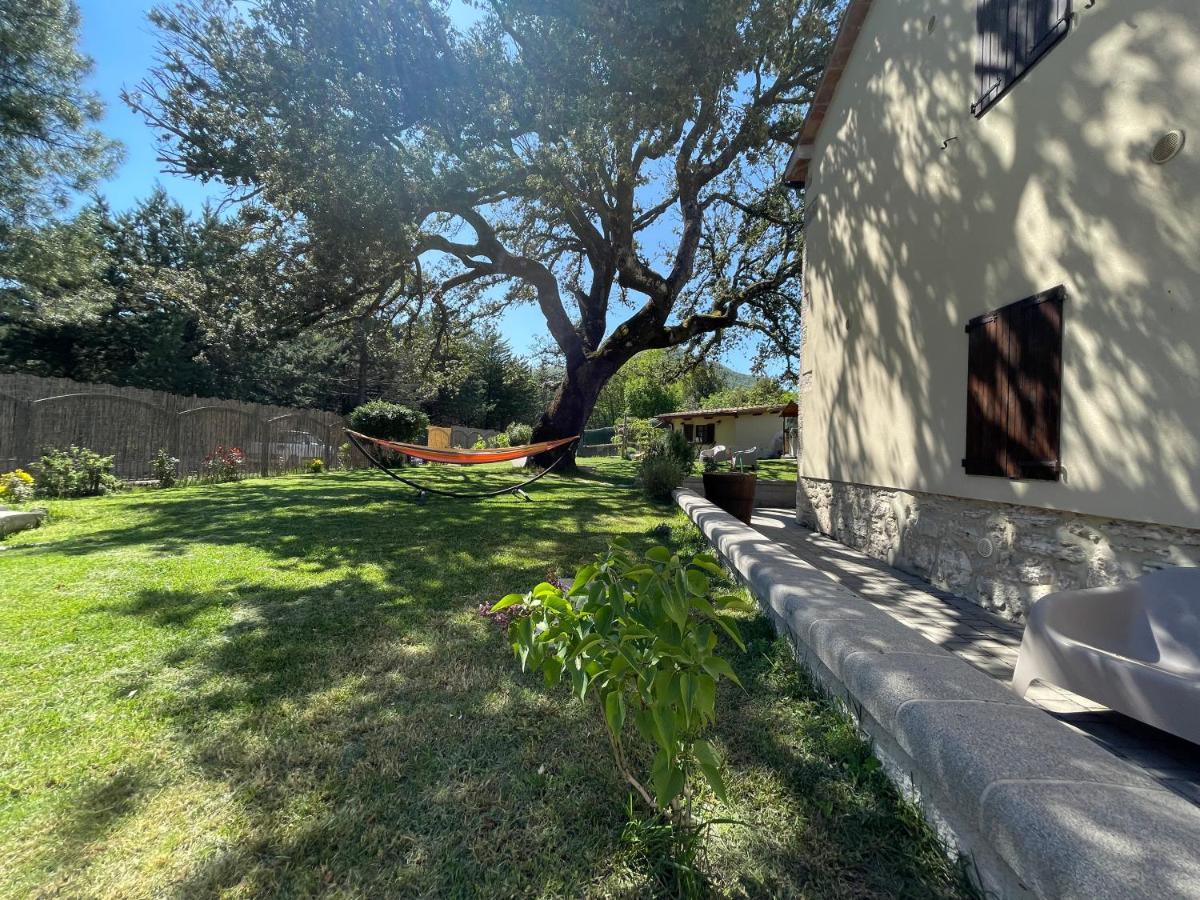 Il Leccione Apartment Bagni San Filippo Bagian luar foto